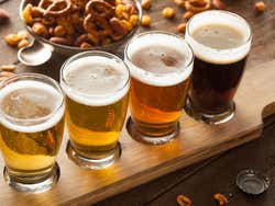 Birre norvegesi